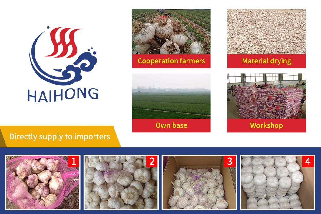 China Dry/Dehydrated Garlic Flakes 100% Natural Bulk Price