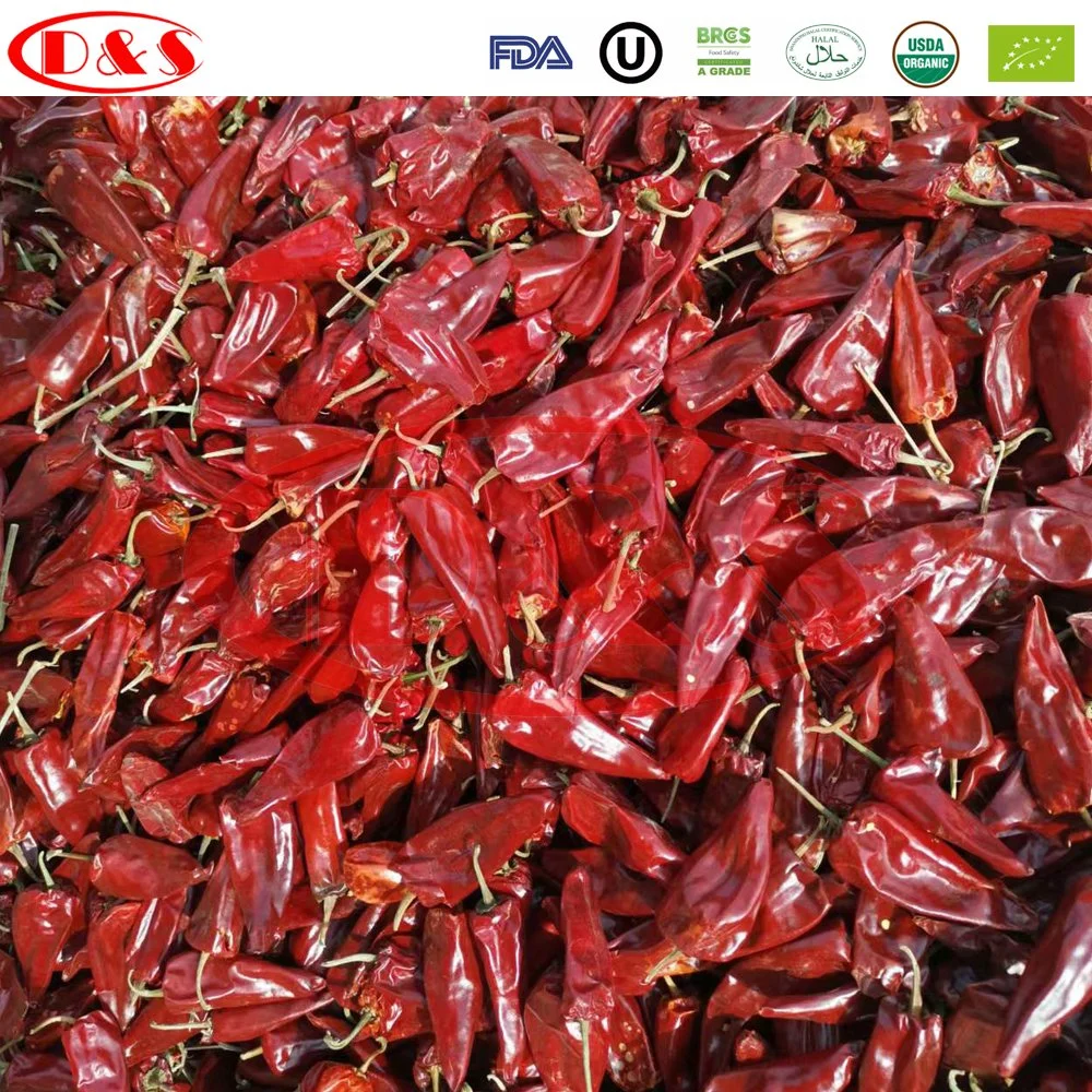 Hot Sale Chinese Premium Quality Dried Chili Yidu with Stem