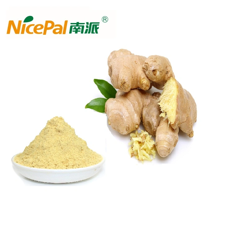 Ginger Extract Manufacturer Supply Good Price Fresh Dried Dry Pure Ginger Root Extract Gingerol Powder