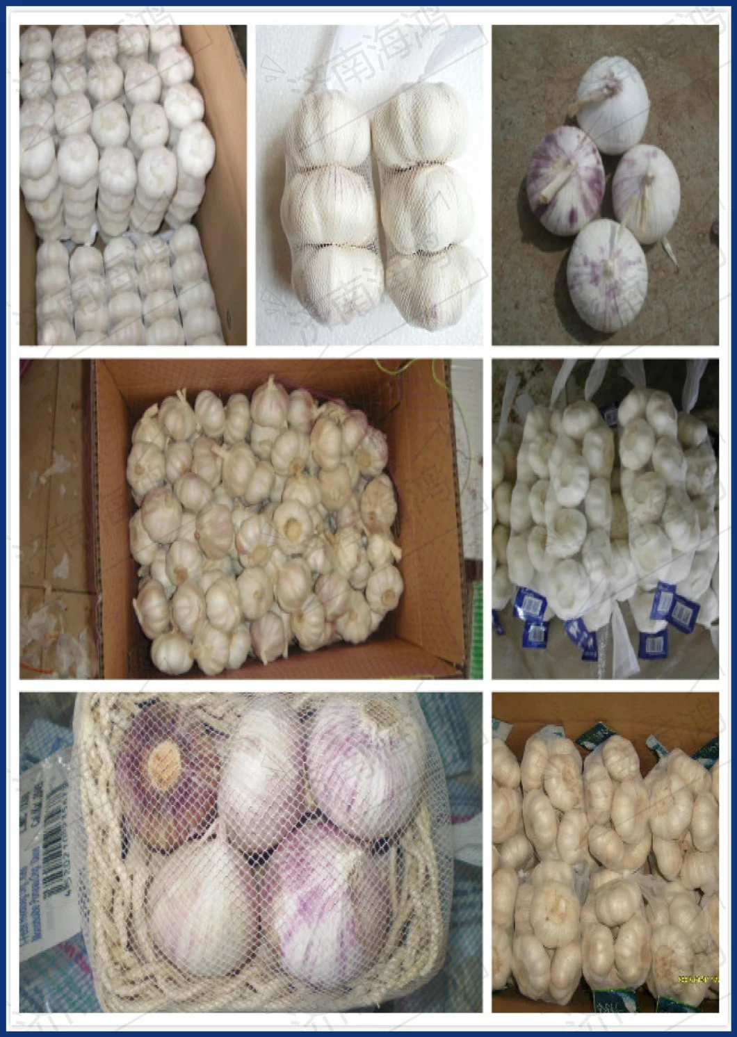 China Dry/Dehydrated Garlic Flakes 100% Natural Bulk Price
