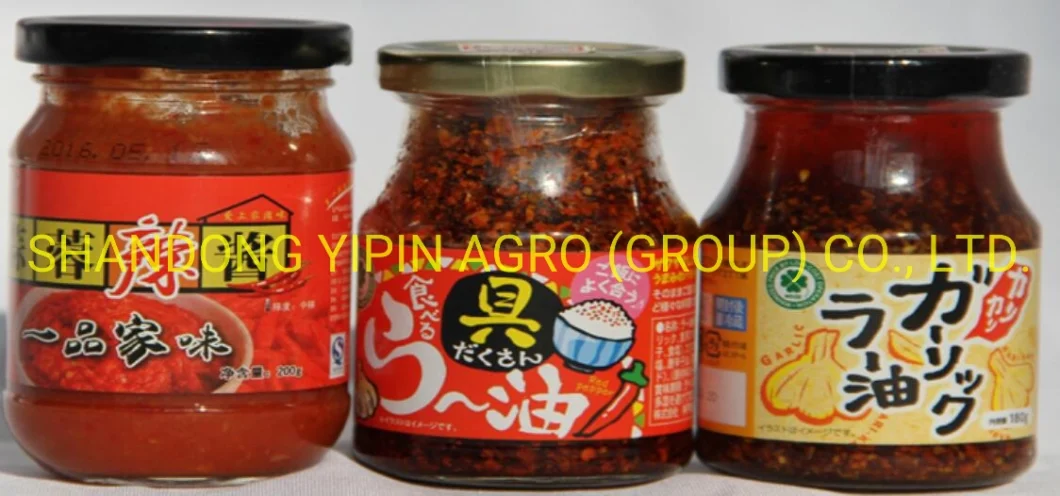 Fried Chili Spicy Chili Pepper in Oil Szechuan Pepper Sauce