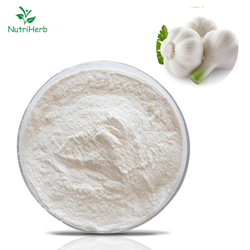 Hot Sell Natural Plant Extract High Quality Garlic Extract Alliin Powder