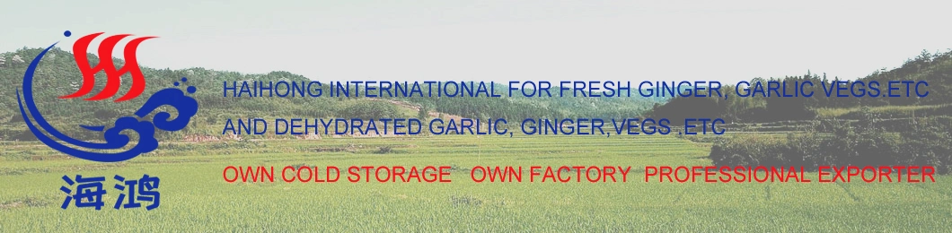 Best Quality Manufacturer Strong Taste Air Dehydrated Garlic Slices and Powder