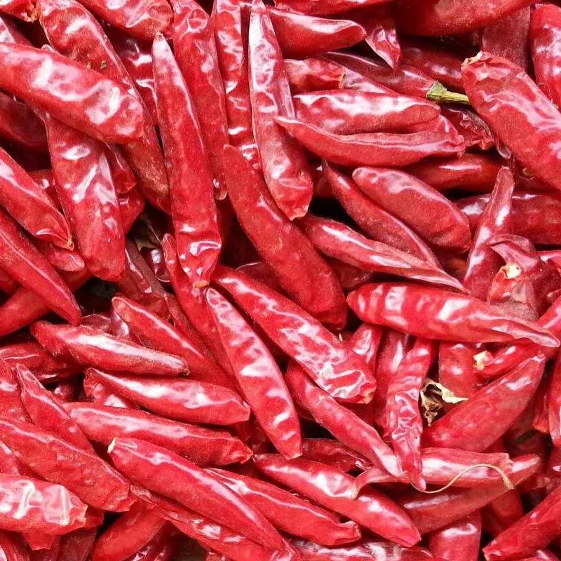 Red Chili Powder Paprika Hot Spice Dried Pepper China Supply