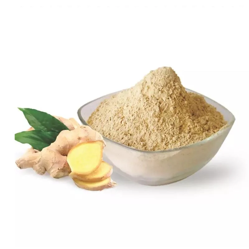 Water Soluble Bulk Pure Organic Dried Ginger Extract Ginger Powder