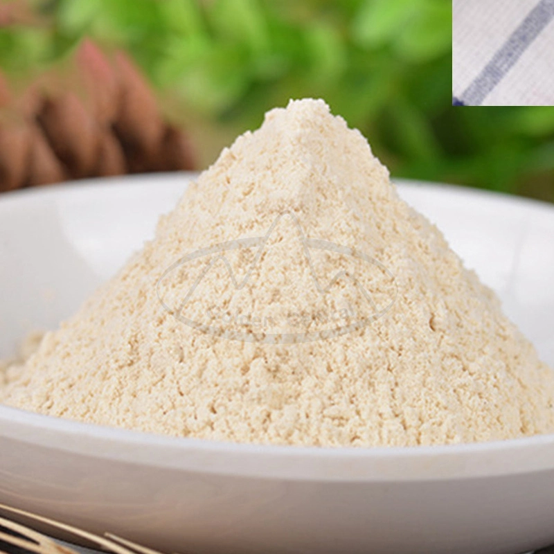 New China Toasted Garlic Powder