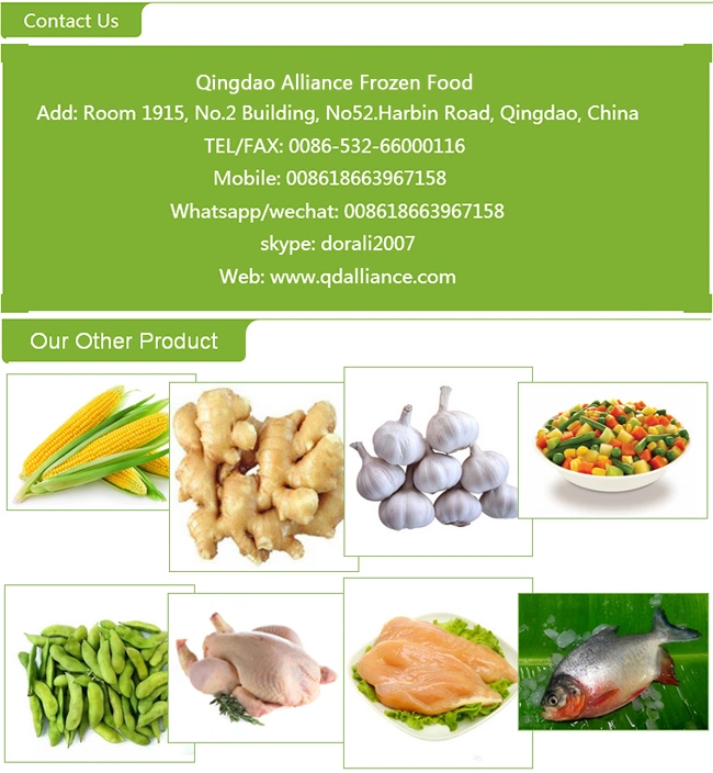 Top Quality Dehydrated Diced Green Onion