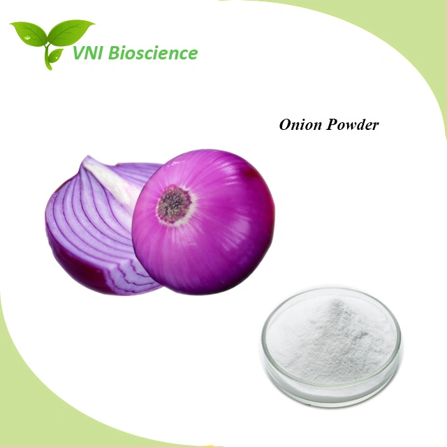 Halal Certified 100% Natural Pure Onion Powder