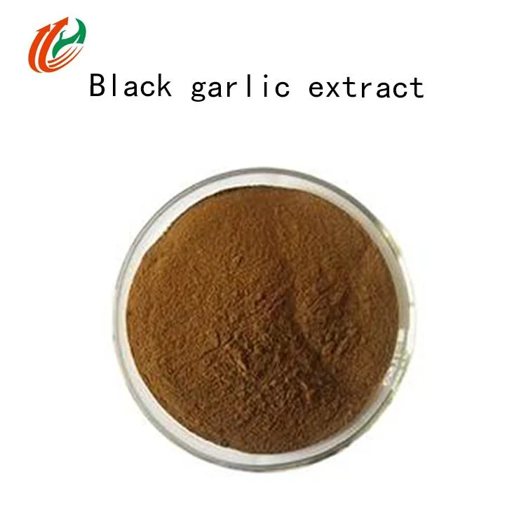 Chinese First-Class Black Garlic Natural Organic Black Garlic Extract Powder Powder Powder