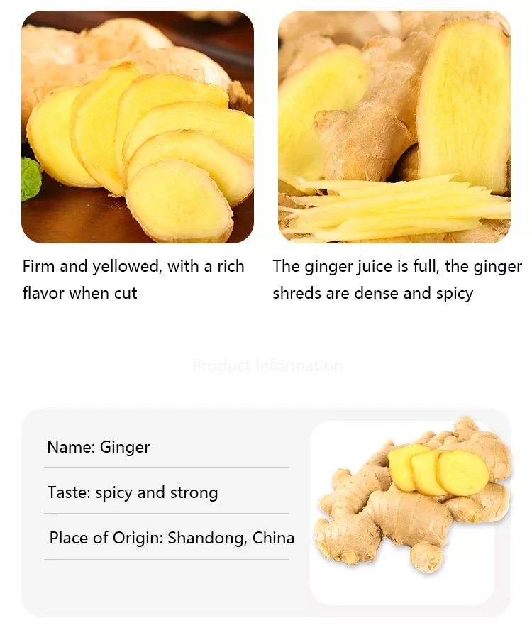 Hot Selling Indian Grade 100% Natural Dried Ginger Aromatic Fresh Ginger / Vegetable Manufacturer Agriculture Clean Surface Dehydrated Ginger From India