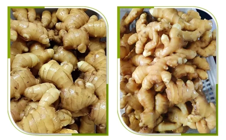 100% Natural High Quality Pure Dry Ginger Organic Ground Ginger Organic Fresh Ginger