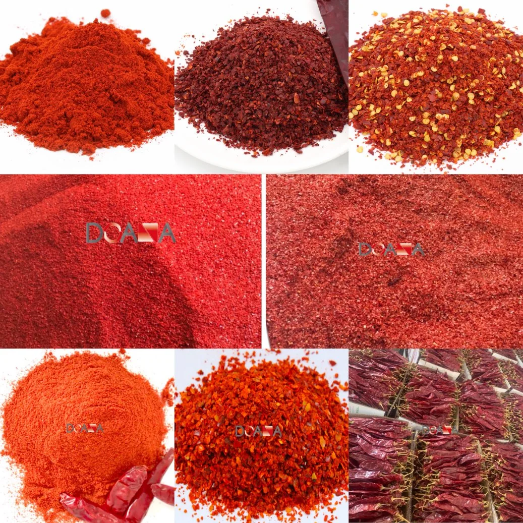 Chinese Origin 60mesh 20000shu Dried Red Hot Chilli Powder