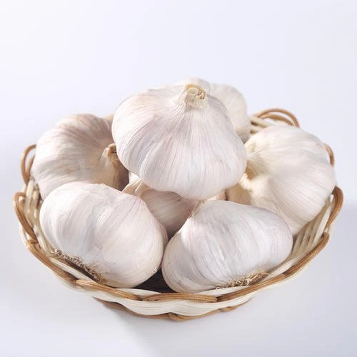 Carton Packing Garlic Granule Supplier