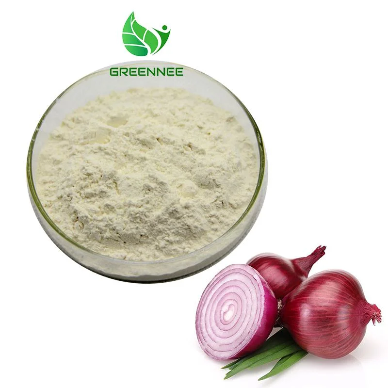 100% Natural Onion Powder Onion Extract Powder