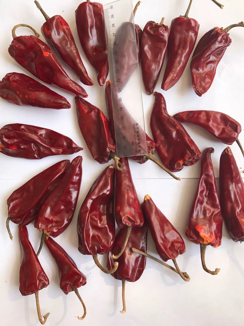 Wholesale Dried Red Yidu Chili Pepper High Quality Low MOQ Newest Crop