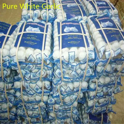 China Exporter of Fried Garlic