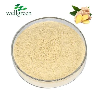 Factory Bulk Price Nutritional Value Instant Water Soluble Gingerol Ginger Root Extract Powder