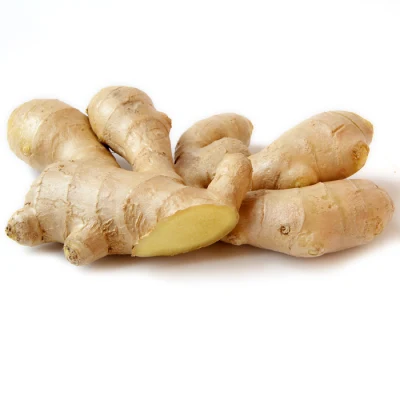Fresh Ginger with High Quality Dried Ginger Wholesale Price