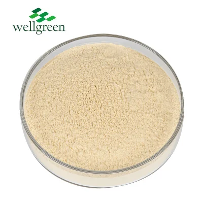 Wellgreen Dehydrated Organic GMP Standard Snack Food Ingredients Red Powder Onion