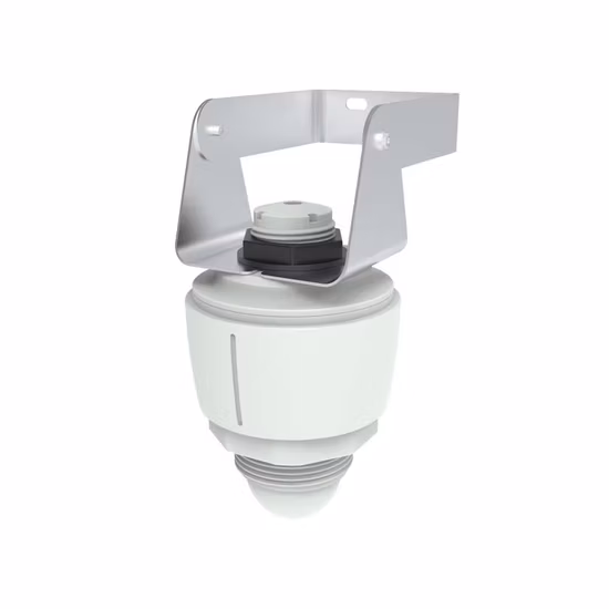 Dehydrated Garlic Flakes High Level Garlic Flakes Dried Garlic Without Root Garlic Flakes