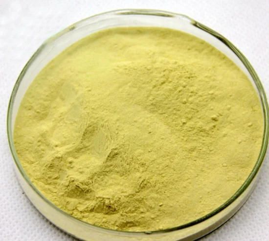 100% Natural Ginger Powder Water Soluble for Drinking