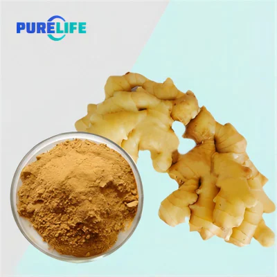 Natural Herbal Plant Extract Dehydrated Organic Vegetable Ginger Root Extract Powder