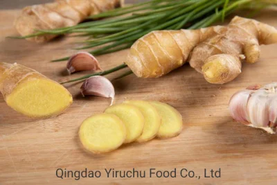 Chinese Dehydrated Vegetable Exporters Dried Ginger Slices/Ginger Dry Herbs Bulk