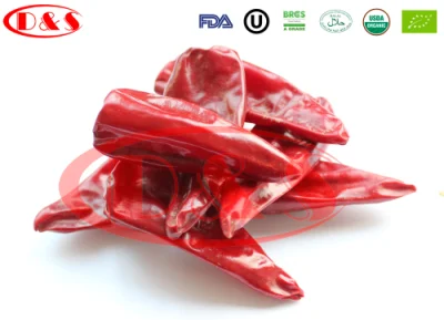 Hot Sale Chinese Premium Quality Dried Chili Yidu with Stem