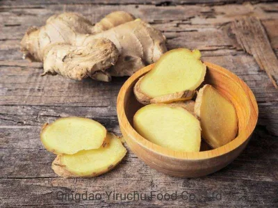 Chinese Organic Healthy Top Quality Dry Ginger Dried Ginger