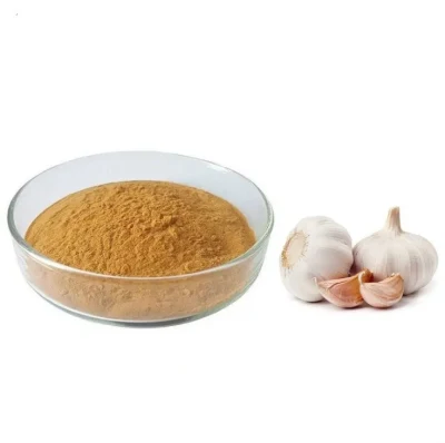 Strong Smell Garlic Extract High Quality Garlic Powder Herbal 10: 1 for Raw Material