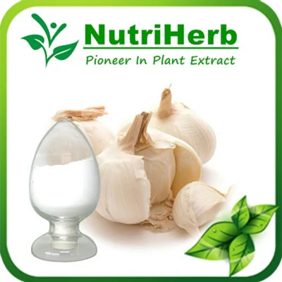 Hot Sell Natural Plant Extract High Quality Garlic Extract Alliin Powder