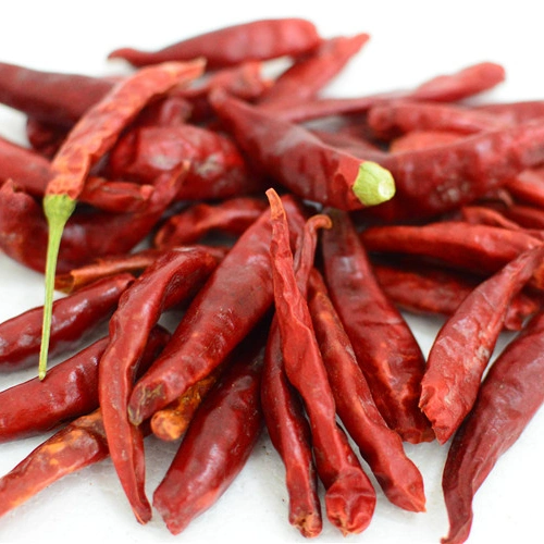 Gansu Hot Red Chili Pepper Dried Pepper Selling with Good Price