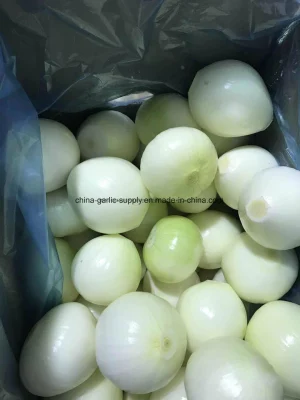Shandong Wholesale Frozen Diced Onion Frozen Onion Strips Frozen Onion Flakes