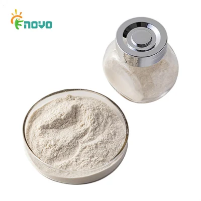 Chinese Supplier Halal Garlic Powder Wholesale Organic Garlic Extract Powder
