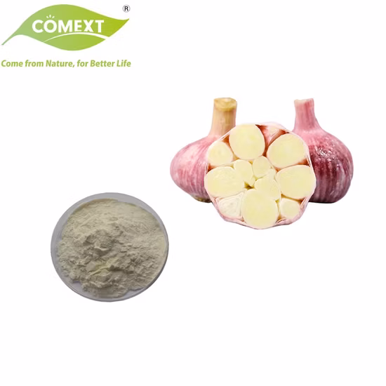 Garlic Extract Powder with 4: 1 10: 1