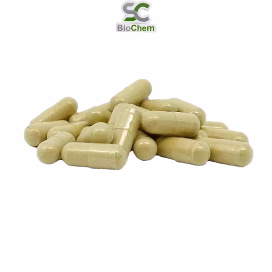 Top Grade Sophora Japonica Extract 117-39-5 Dihydrate 98 Onion Organic Price Quercetin Powder