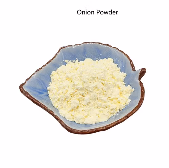 Best Selling 100% Natural Pure Onion Powder