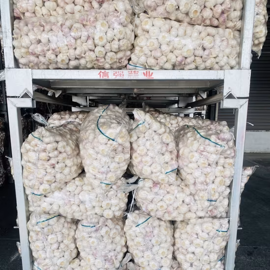 Fresh Natural White Garlic Powder Grade a