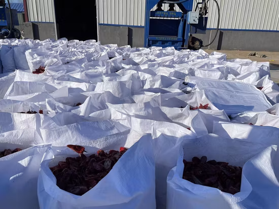 Paprika Powder Red Chili Powder with High Quality Hot Selling Export