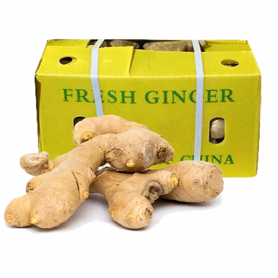 Chinese Organic Healthy Top Quality Dry Ginger Dried Ginger