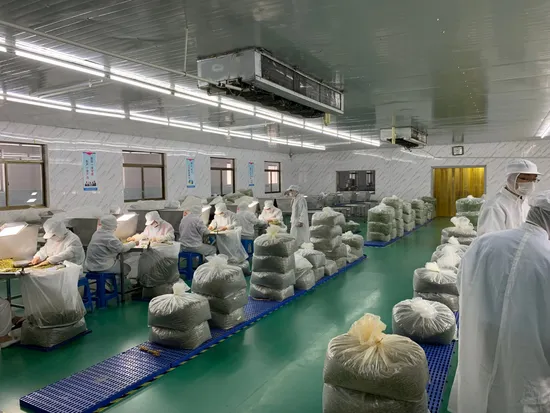 New Crop Best Price White Garlic Granules for Cooking