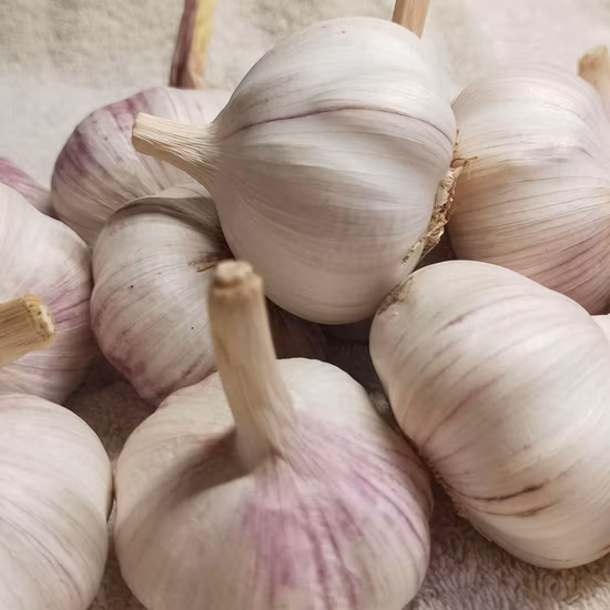 High Quality China Dehydrated Garlic Flakes