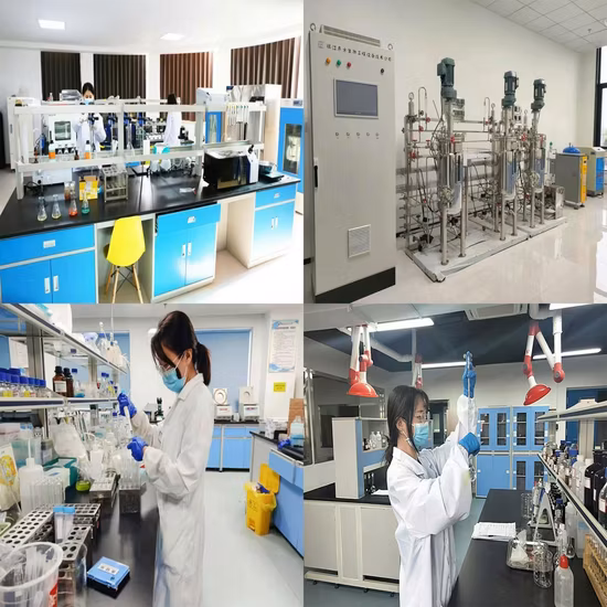 Factory Direct Supply of Natural Garlic, Allicin, Garlic Extract Powder