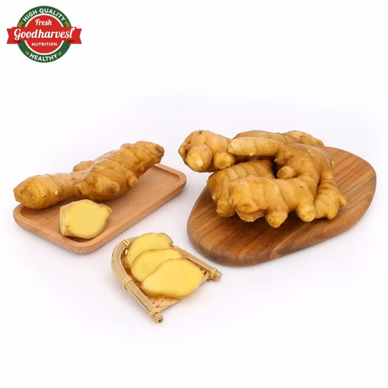 Fresh Dried Semi Dry or Full Dry Ginger Pickled Ginger Fresh Ginger Fresh Food Ginger Fresh Vegetable Conventional Ginger From China