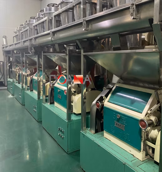 Hot Spice Air Dried Xian Chili