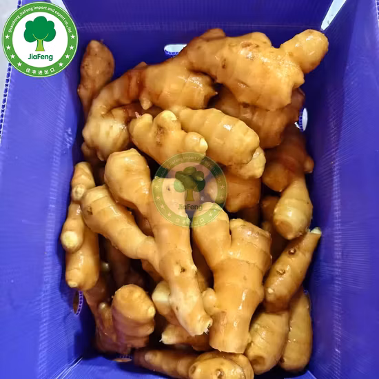 Chinese Air Dried Ginger Supplier