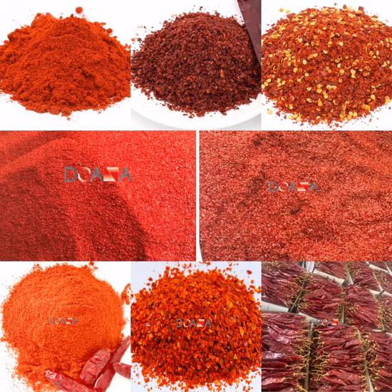 Hot Sale Seasoning Good Price Hot Chili Pepper