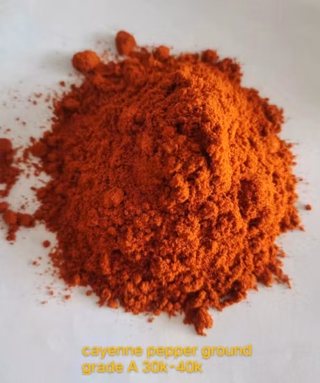 Dry Paprika Spices Distributor Sweet Red Hot Chili Capsicum Powder