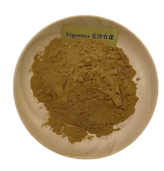 Chinese Supplier Halal Garlic Powder Wholesale Organic Garlic Extract Powder
